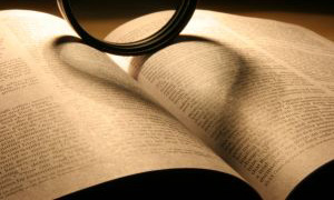 traduzione, teoria traduzioni, bibliografia traduzione, traduttore