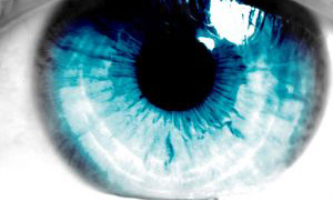 entertainment translation, Electronic Press Kit  translation, Premiering Full-Length Animated Film translation, premieres translation
