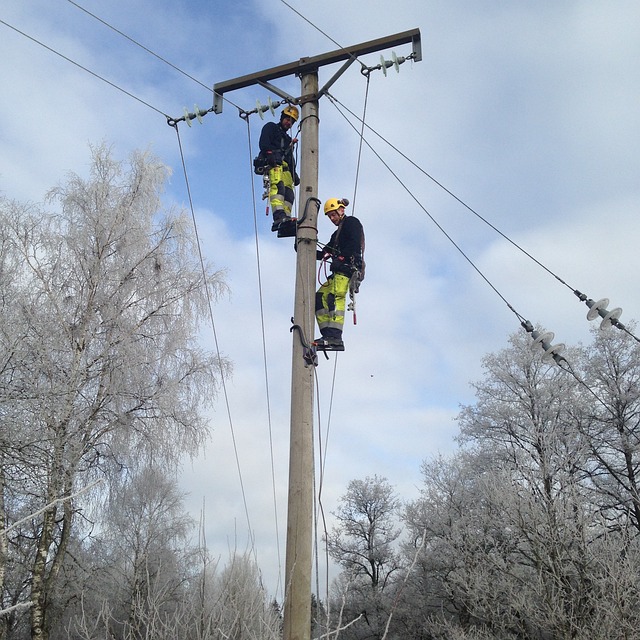 Glossaire Sécurité Électrique