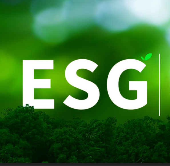 Traduction assermentée environnementale : 82 projets multilingues pour Innovando