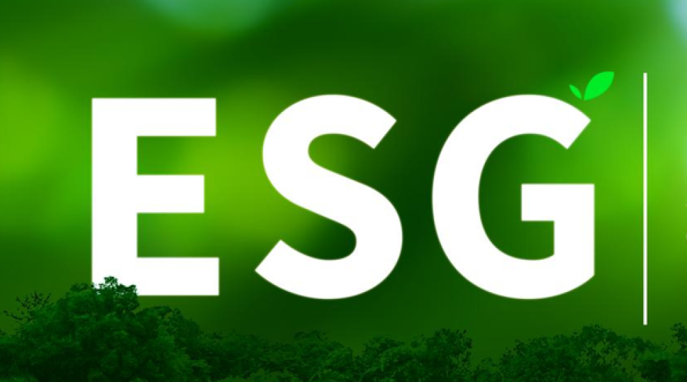 Traduction assermentée environnementale : 82 projets multilingues pour Innovando