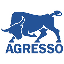 Agresso — traduzione software, interfacce utente e documentazione tecnica