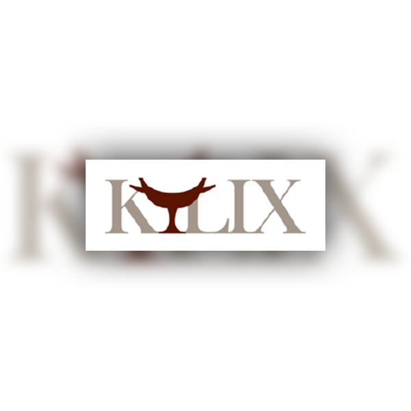 Traduzioni per istruzioni dispositivi medici certificati in ambito regolatorio per Kylix