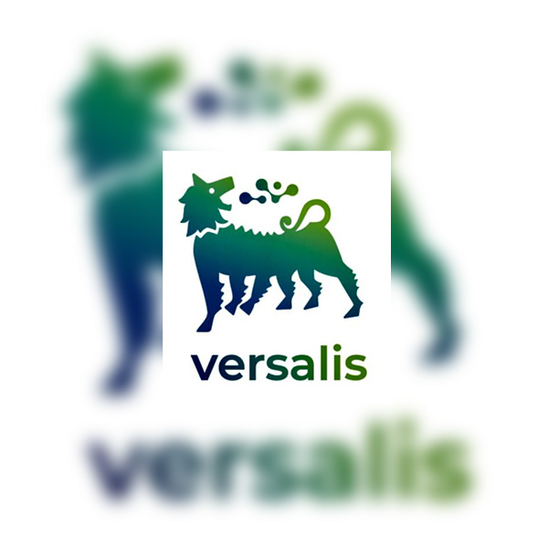 Traduzione documentazione HSE per l’industria chimica – VERSALIS France