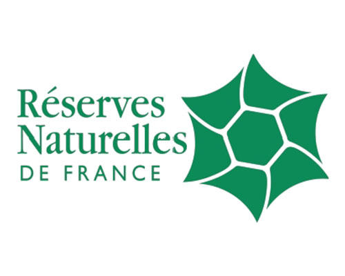 Logo-Client---_0017_RNF