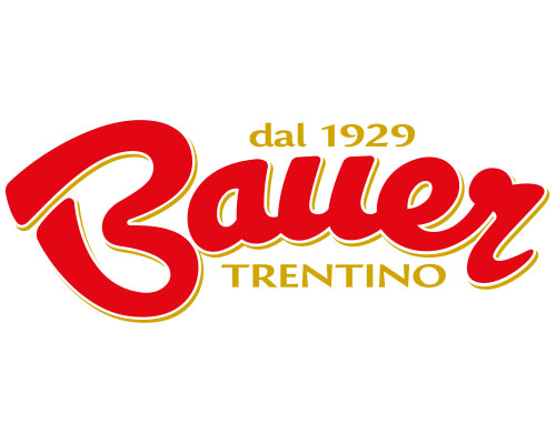 Logo-Client---_0082_bauer
